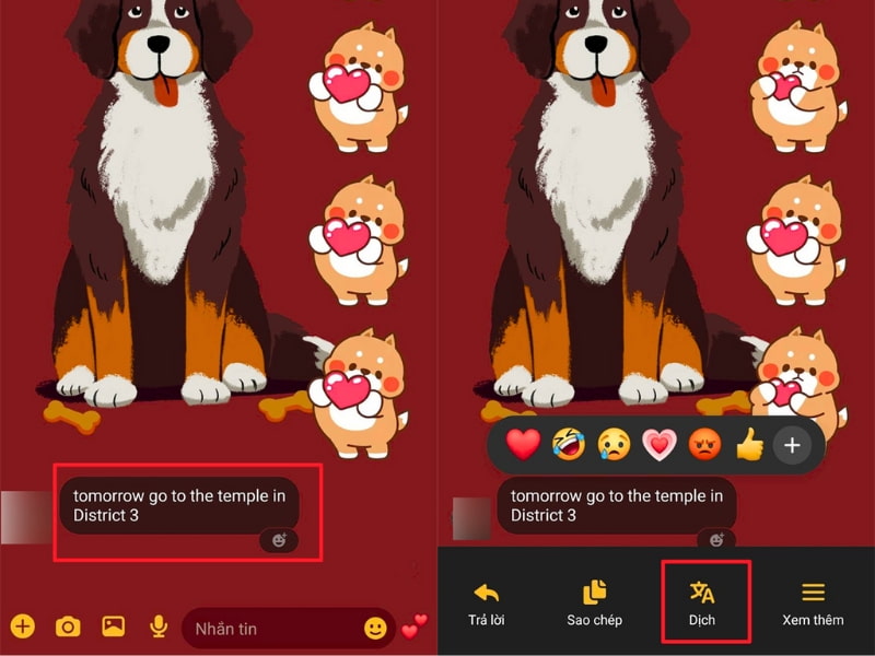 Nhấn Giữ Vào Tin Nhắn Cần Dịch