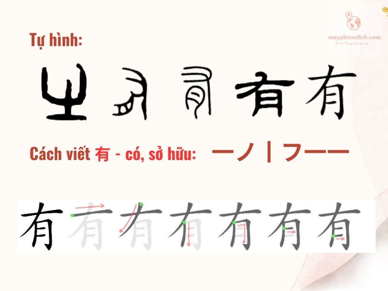 Cách viết chữ Hữu  tiếng Trung - Có, sở hữu 有