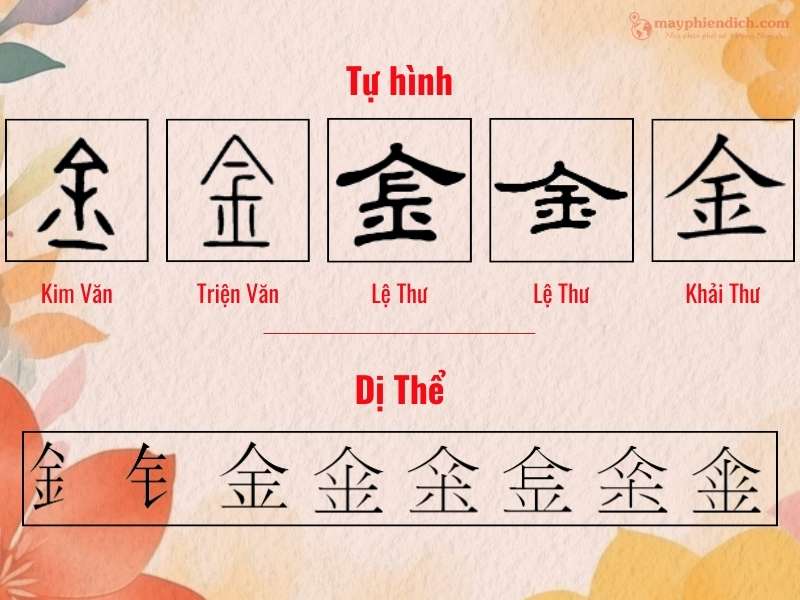 Tự hình và dị thể của chữ Kim tiếng Hán  金