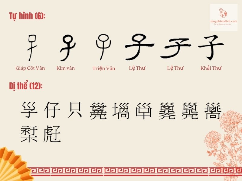 Tự hình và dị thể chữ Tử (con cái) tiếng Hán