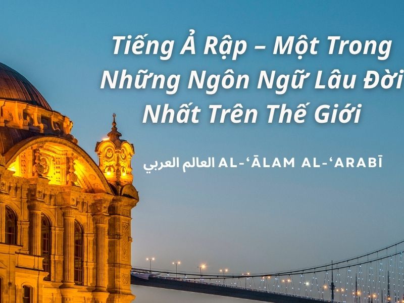 Tiếng Ả Rập - Một Trong Những Ngôn Ngữ Lâu Đời Nhất Trên Thế Giới