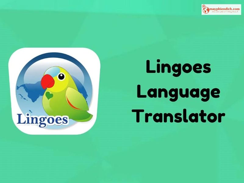 Lingoes: Phần Mềm Dịch Offline Tiếng Anh Trên Máy Tính